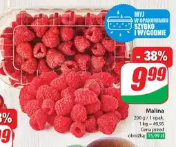 Dino Maliny oferta