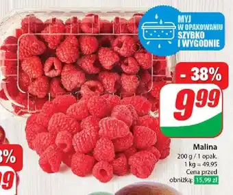 Dino Maliny oferta