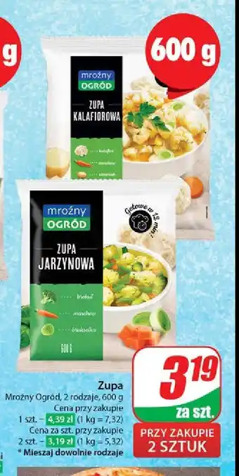 Dino Zupa kalafiorowa oferta