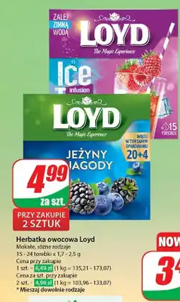 Dino Herbata strawberry & raspberry Loyd tea the magic experience oferta