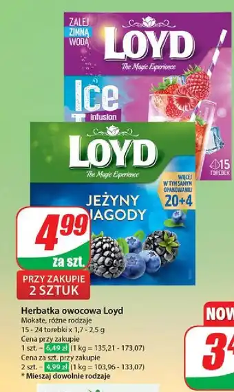 Dino Herbata strawberry & raspberry Loyd tea the magic experience oferta