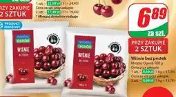 Dino Wiśnie Mroźny ogród oferta