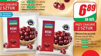 Dino Wiśnie Mroźny ogród oferta