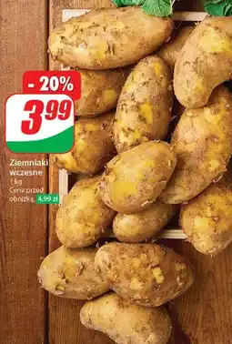 Dino Ziemniaki wczesne oferta