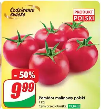 Dino Pomidory malinowe polska oferta