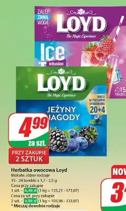 Dino Herbata na zimno strawberry & raspberry Loyd Tea The Magic Experience oferta