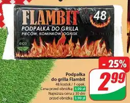 Dino Podpałka do grilla oferta