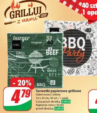 Dino Serwetki papierowe grillowe 33 x cm oferta