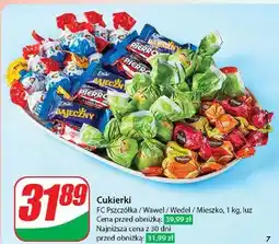 Dino Praliny choco bits Pszczółka oferta