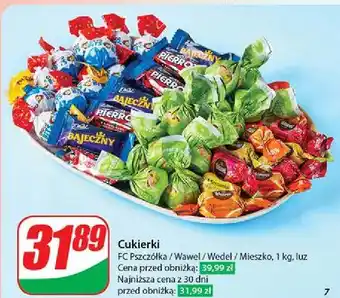 Dino Praliny choco bits Pszczółka oferta