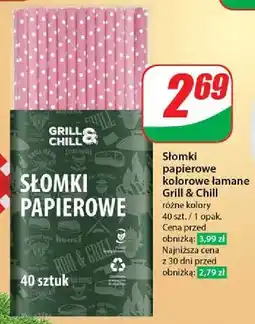 Dino Słomki papierowe Grill & Chill oferta