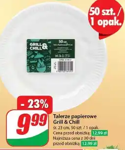 Dino Talerze papierowe 23 cm Grill & Chill oferta