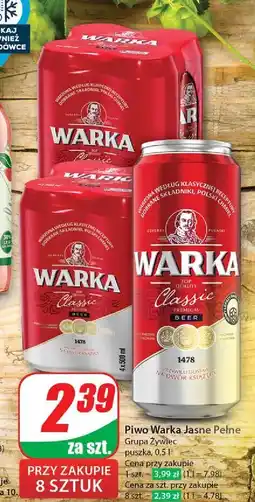 Dino Piwo Warka oferta