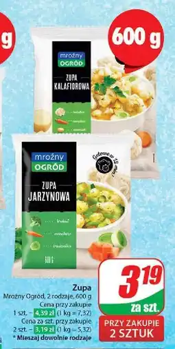 Dino Zupa kalafiorowa Mroźny Ogród oferta