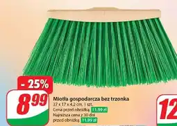 Dino Miotła oferta