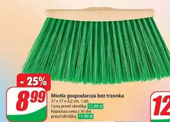 Dino Miotła oferta