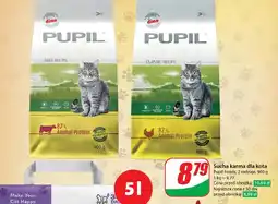 Dino Karma dla kota z wołowiną Pupil oferta