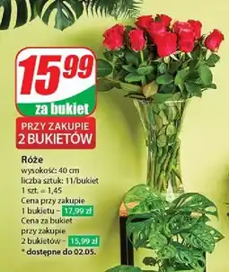 Dino Róża 40 cm oferta
