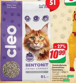Dino Żwirek bentonitowy lawendowy Cleo oferta