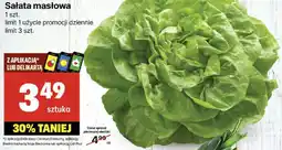 Delikatesy Centrum Sałata masłowa 1 szt. Delikatesy Centrum oferta