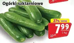 Prim Market Ogórki szklarniowe 1 kg Prim Market oferta