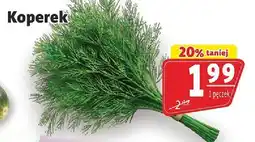 Prim Market Koperek 1 pęczek Prim Market oferta