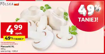 Auchan Pieczarki oferta