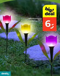 Dealz Lampa solarna tulipan wys. 30.5 cm oferta