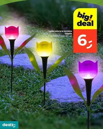 Dealz Lampa solarna tulipan wys. 30.5 cm oferta
