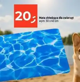 Dealz Mata chłodząca dla psa 40 x 50 cm oferta