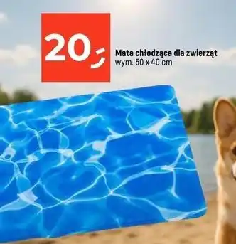 Dealz Mata chłodząca dla psa 40 x 50 cm oferta