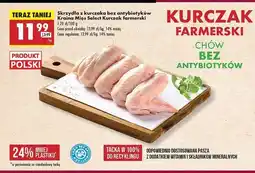 Biedronka Skrzydła z kurczaka farmerskiego Kraina Mięs Select oferta