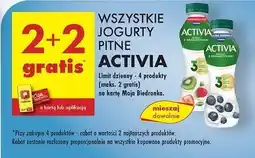 Biedronka Jogurt jagoda-borówka amerykańska Danone Activia oferta