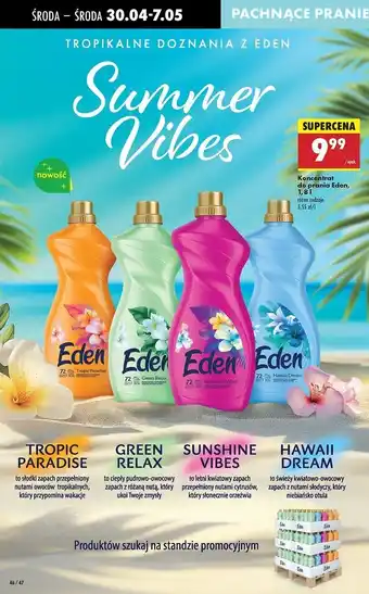 Biedronka Koncetrat do płukania green relax Eden Summer oferta