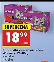 Biedronka Potrawka w galaretce smaki wołowe Whiskas oferta