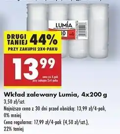 Biedronka Wkład zalewany 200 g Lumia oferta