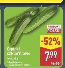 ALDI Ogórek szklarniowy polska oferta