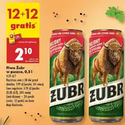 Biedronka Piwo Zubr oferta