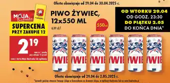 Biedronka Piwo Zywiec oferta