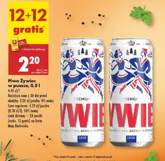 Biedronka Piwo Zywiec oferta