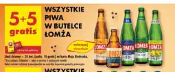 Biedronka Piwo Lomża oferta