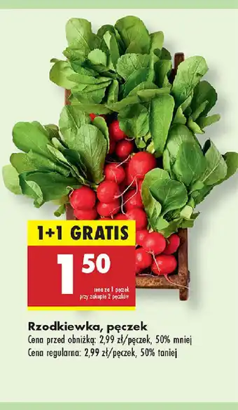 Biedronka Rzodkiewka, pęczek oferta