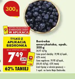 Biedronka Borówka amerykańska oferta