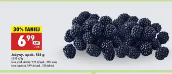 Biedronka Jeżyny oferta