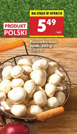 Biedronka Pieczarka mini oferta