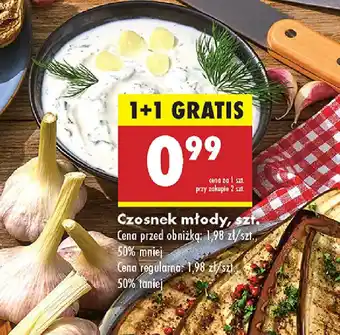 Biedronka Czosnek młody oferta