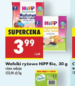 Biedronka Wafelki ryżowe HiPP Bio oferta