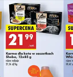 Biedronka Karma dla kota w saszetkach Sheba oferta