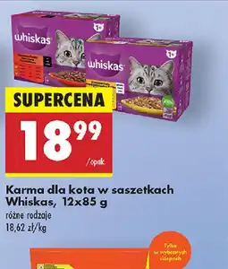 Biedronka Karma dla kota w saszetkach Whiskas oferta