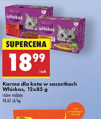 Biedronka Karma dla kota w saszetkach Whiskas oferta